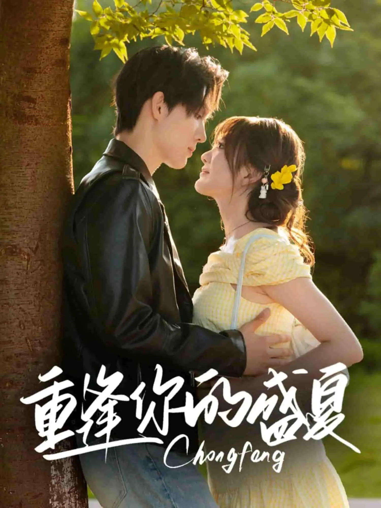 《重逢你的盛夏》：夏日限定的浪漫告白，青春的悸动永不落幕！