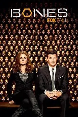 《识骨寻踪第九季》：骨骼的低语，真凶的真相！Bones和Booth的默契，永不落幕的法医悬疑！