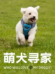《萌犬寻家》：毛茸茸的治愈系冒险！一只狗狗的跨越时空寻找家的温暖故事！