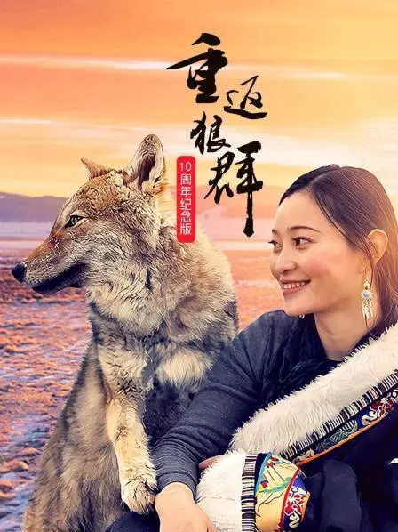 《重返狼群——10周年纪念版》：治愈又感动！这‘萌犬寻家’的剧情，比‘情感伦理’片还戳人心！