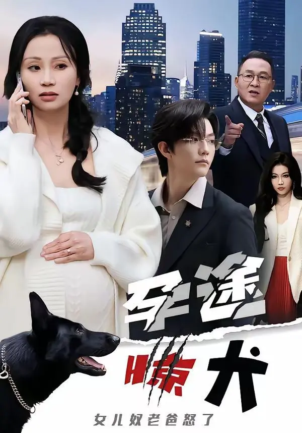 《孕途惊犬，女儿奴老爸怒了》：奇葩设定下的温情守护，当老爸遇上“狼狗”