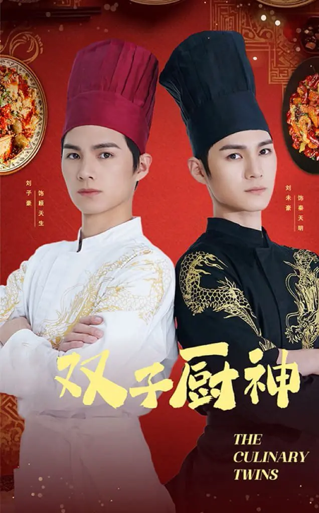 《双子厨神》：舌尖上的双重奏，一场关于美食与人生的爆笑冒险！
